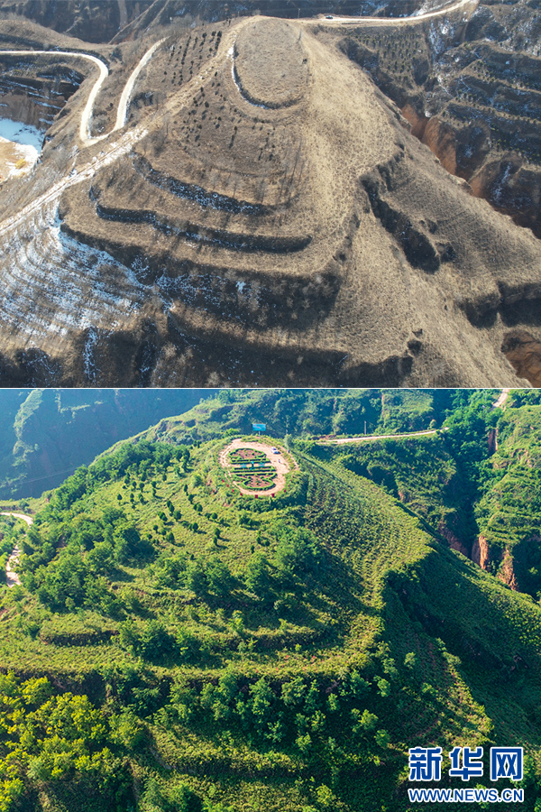 沿着黄河遇见海丨陕西延安:逐梦"绿富美" 黄河两岸展新颜|南泥湾_新浪