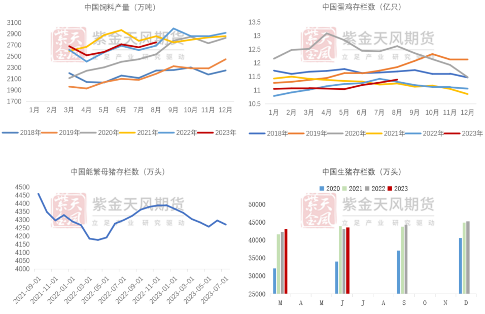 数据来源：钢联，紫金天风期货研究所