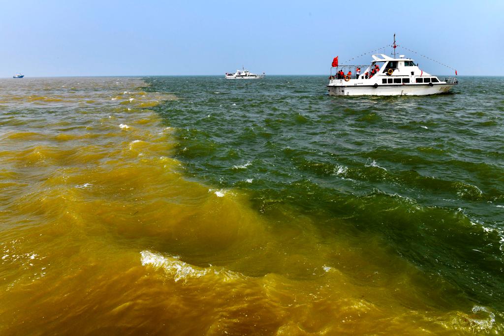 在山东省东营市黄河入海口,黄河汇入渤海,形成独特景观.