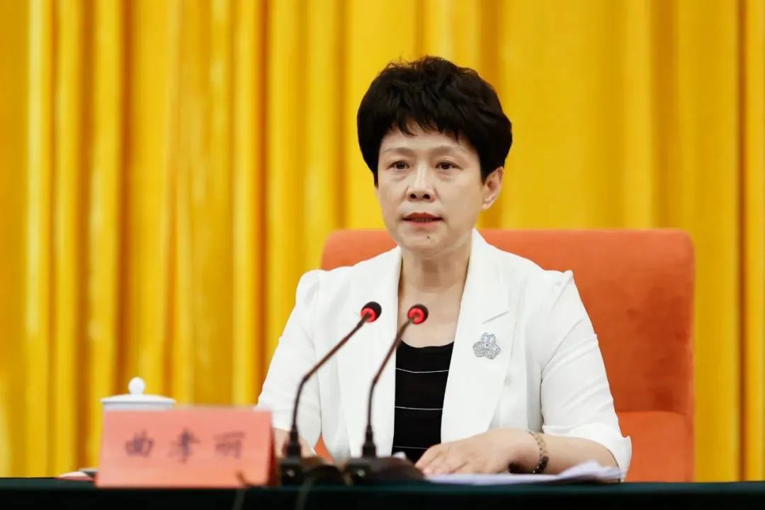 挂甲寺街党工委书记,河西区委常委,组织部部长,河西区委副书记,天津市