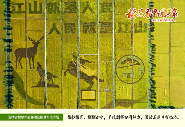 松原前郭县红光农场千米条田稻田画&nbsp;郭亮 摄