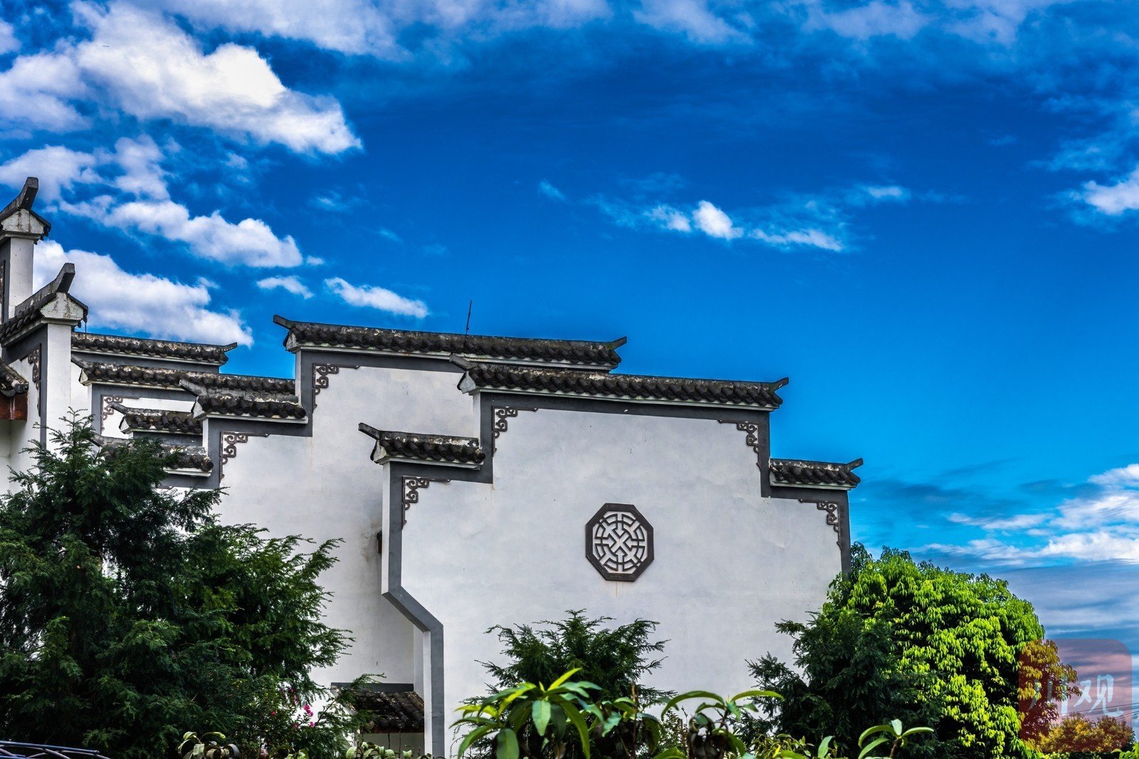 从空中俯瞰,铁牛村静静卧在成荫绿树,田田荷叶间