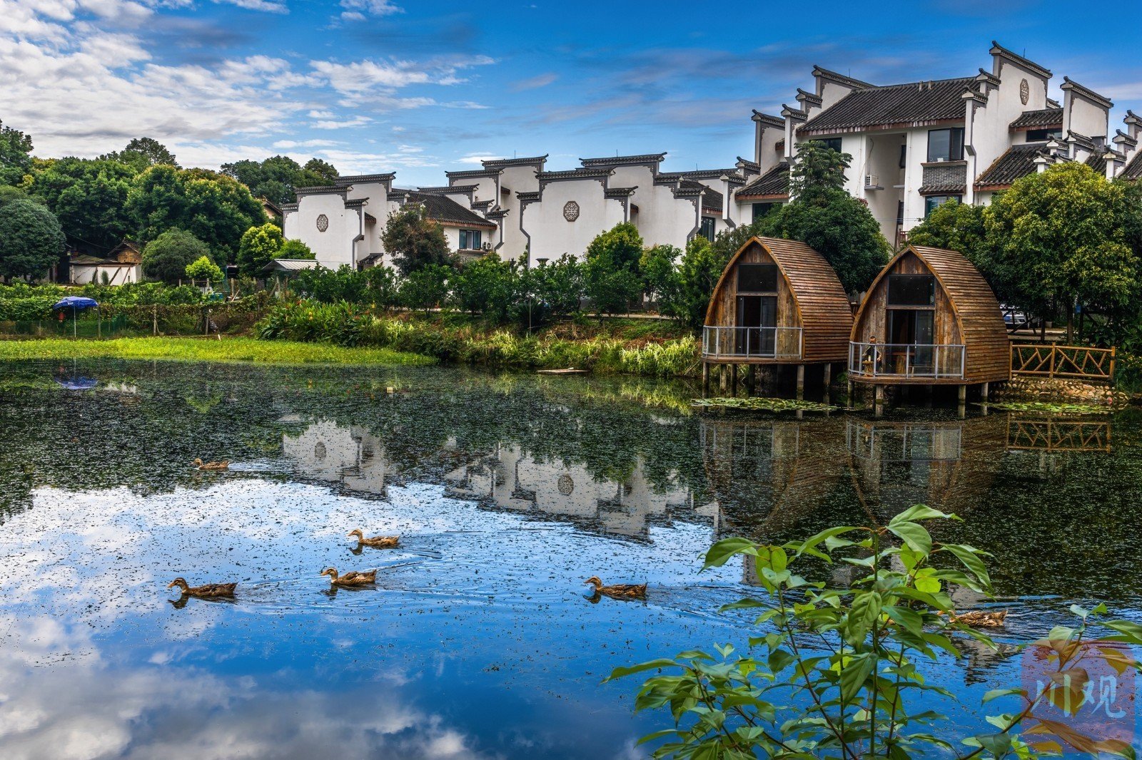 c视觉·云游天府90 | 蒲江铁牛村 梦里"小江南"|江南_新浪财经_新浪