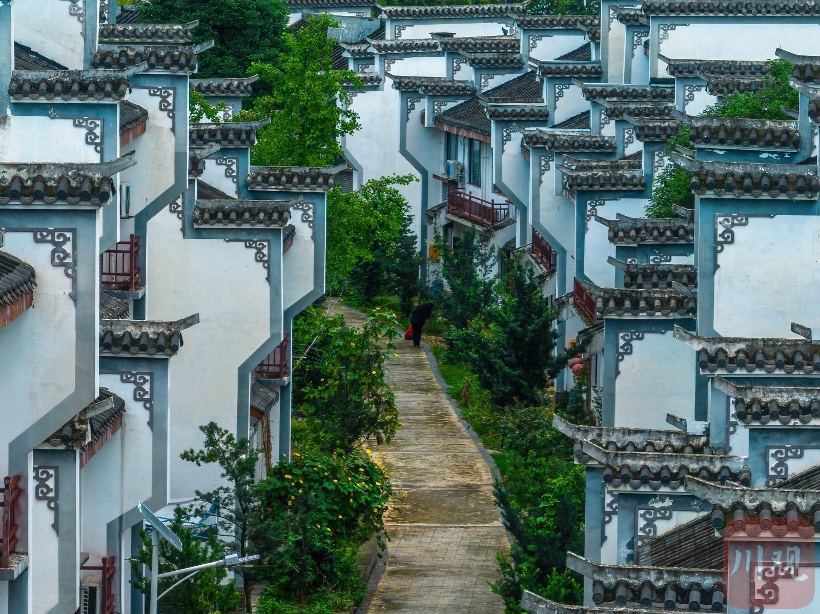 从空中俯瞰,铁牛村静静卧在成荫绿树,田田荷叶间