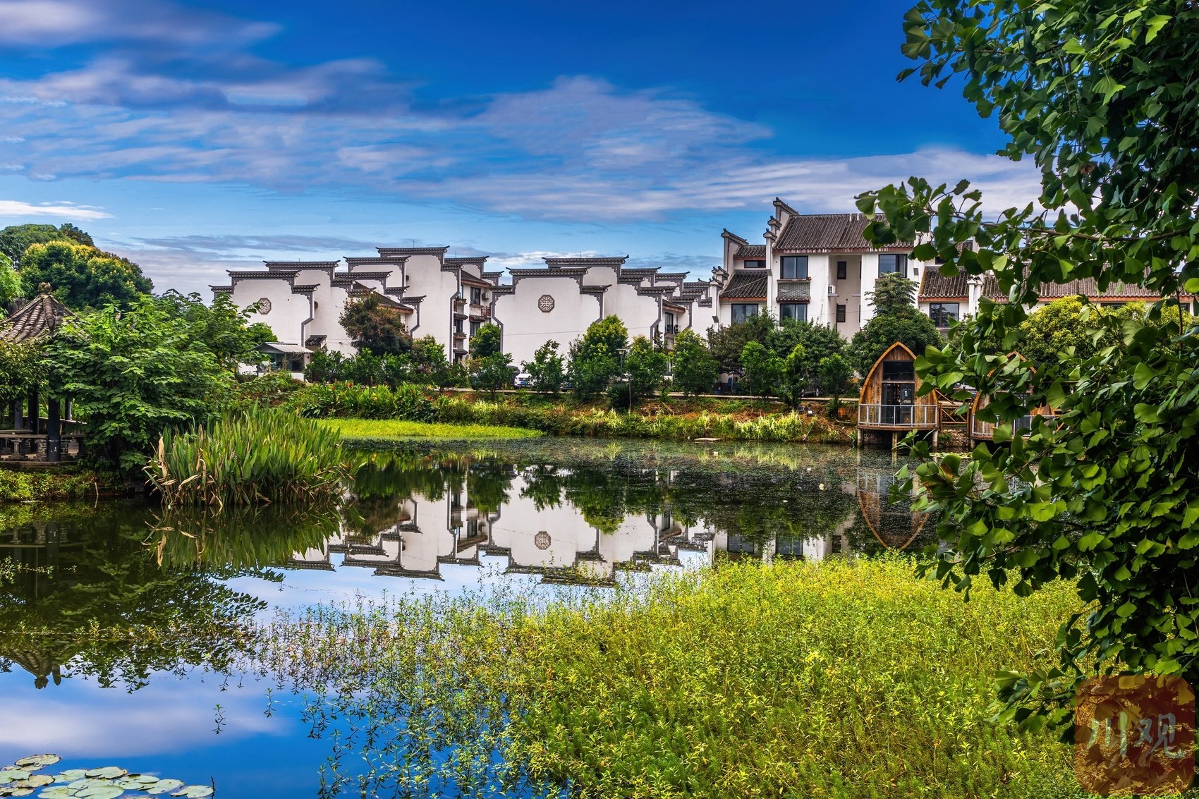 从空中俯瞰,铁牛村静静卧在成荫绿树,田田荷叶间