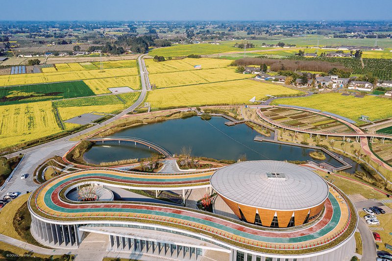 浓浓金色绘丰收农发行充分发挥职能优势助力粮食丰产增收