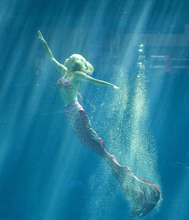 美人鱼水中斗舞|三亚市_新浪财经_新浪网