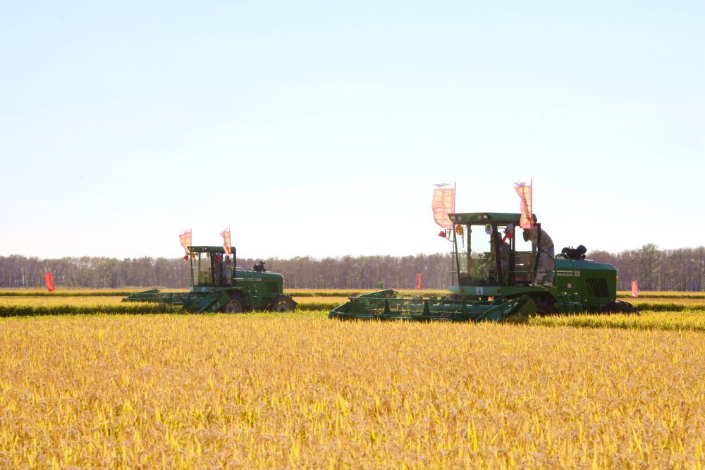 北大荒集团普阳农场有限公司第三管理区水稻种植综合标准化示范区的