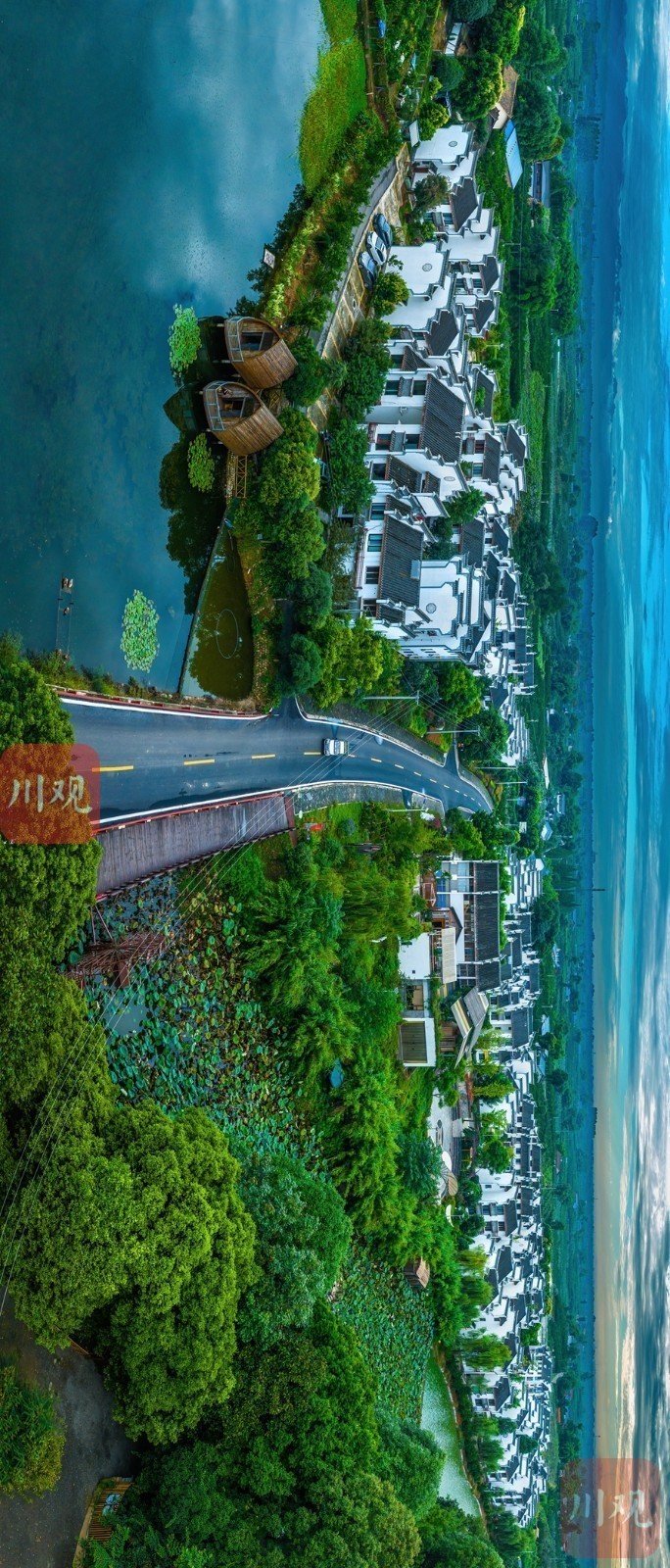 从空中俯瞰,铁牛村静静卧在成荫绿树,田田荷叶间