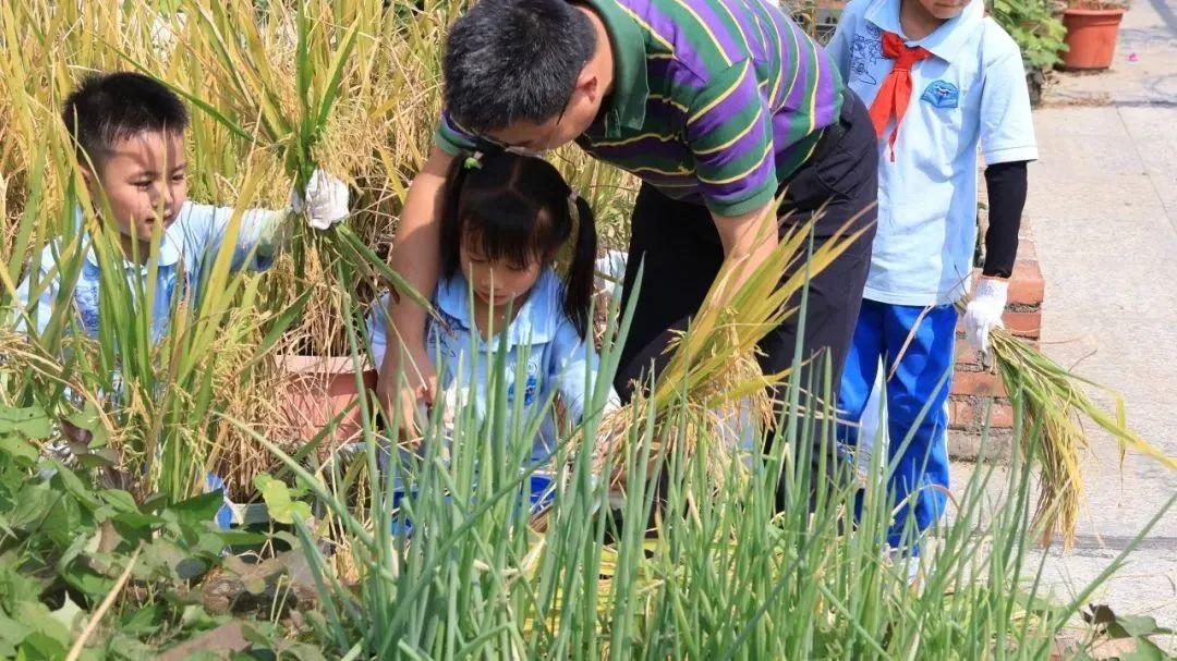 《俠客風(fēng)云傳》手游加入新劇情 穿越香兒結(jié)局