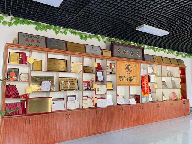 在种植园里的梨王文化馆里,陈列着陈静和公公贾尚的荣誉证书.