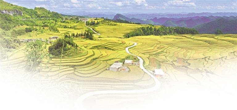 贵定县沿山镇石板村腊利梯田. 涂唯 摄