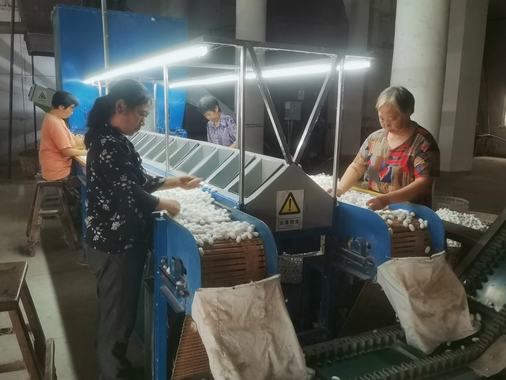 四川红旗丝绸有限公司缫丝厂内,工人在使用智能选茧设备