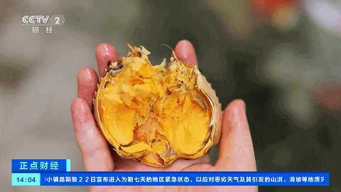 图片来源：央视财经