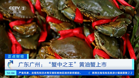 图片来源：央视财经