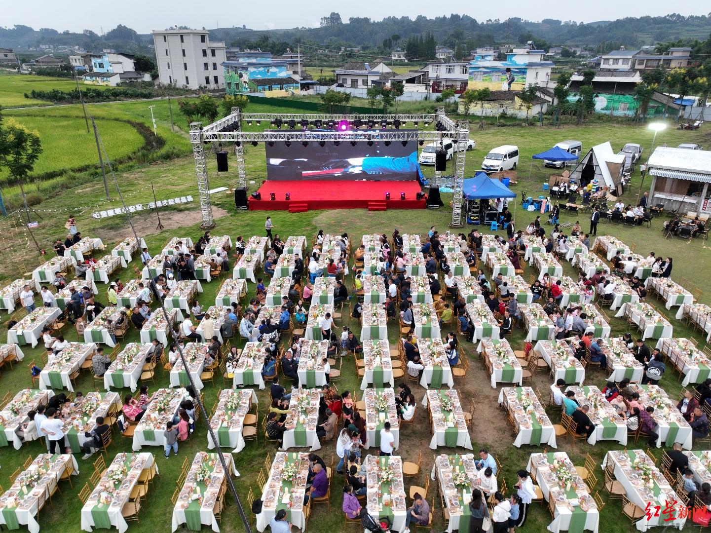 千人稻田里“吃鸡” ！四川丹棱之外属鸡的朋友们，638元消费券包免费抢