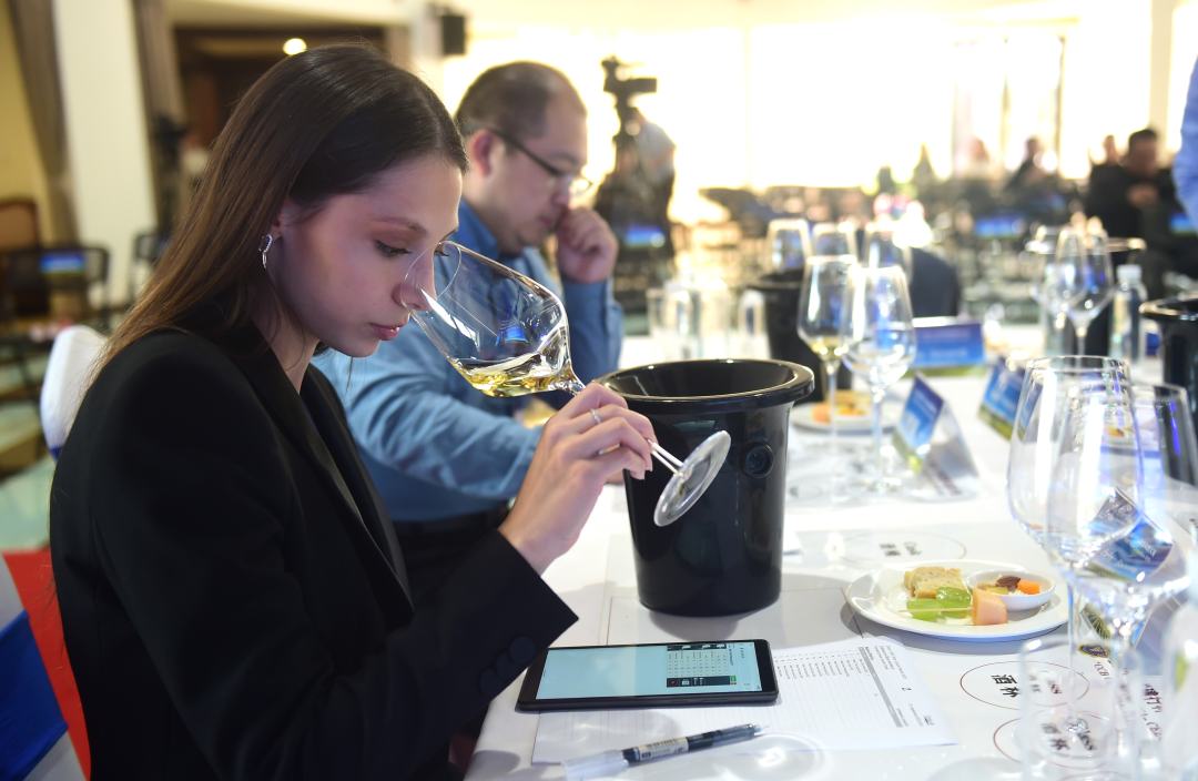 品酒师在中国-中东欧葡萄酒大赛上品评葡萄酒.傅新春摄