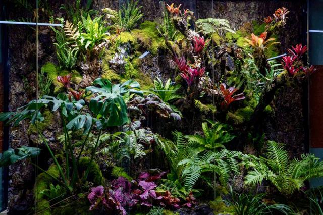 图为拉萨印地下停车场内全国首家地下绿化景观植物(9月15日摄).