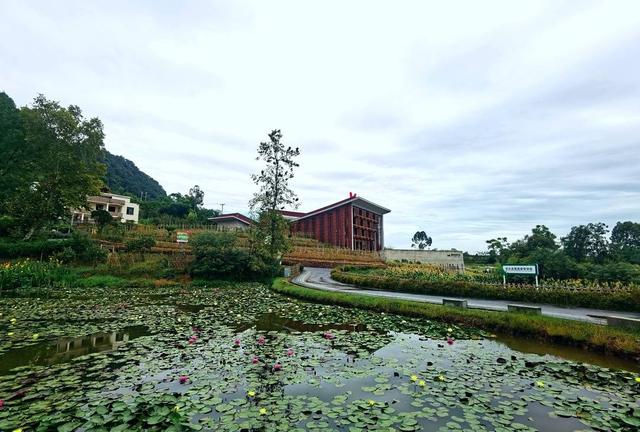 追光|普通的安石村有了美学之变 宜宾勾勒出令人向往的"新乡村,新场景