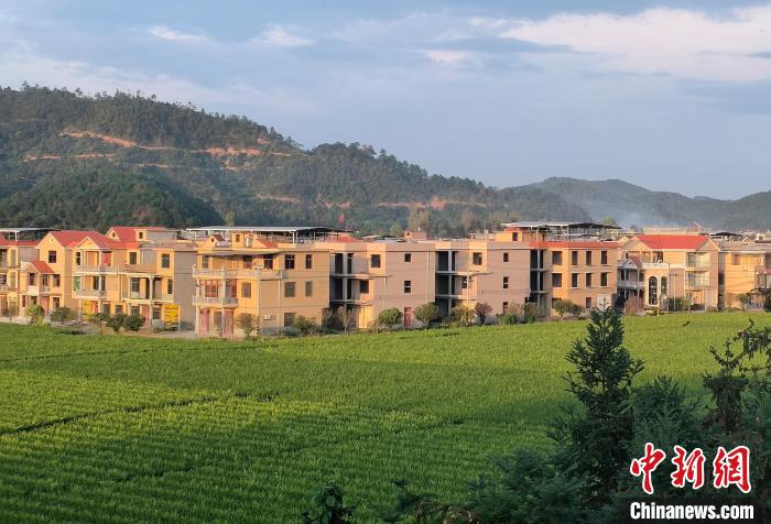 湖南桂阳县的美丽乡村.中新网记者唐小晴摄