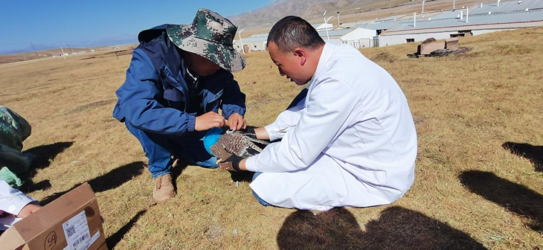 vs怎樣顯現(xiàn)行號(hào) visual studio顯現(xiàn)行號(hào)辦法