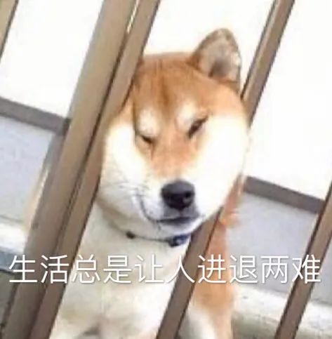 反过来,难吃,就是最大的原罪.好吃,是广东餐饮的唯一指标.