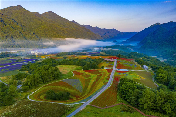 红池坝花海.景区供图 华龙网发