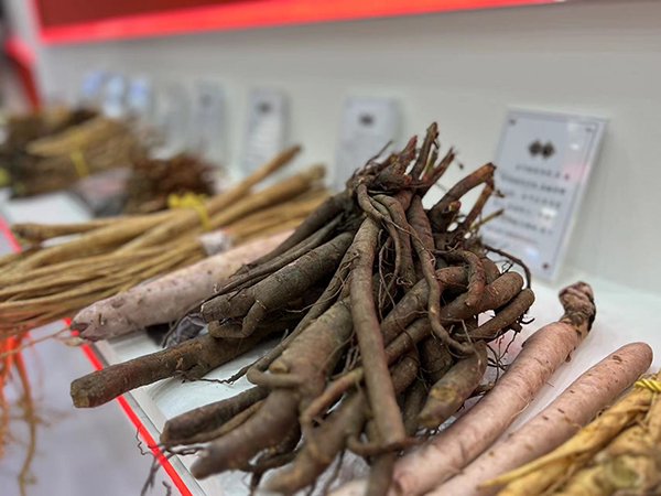 大庆展区道地药材展示区.