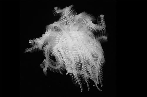 哈登：季后賽才是我們的終極目標(biāo)