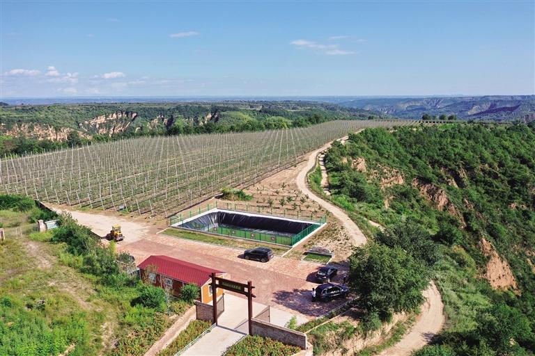 富县茶坊街道伏龙村的百亩苹果生态农场. 通讯员 成益民摄