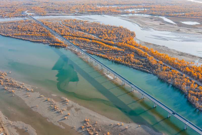 2023年第十三届沙雅胡杨节向全国游客发出邀约|旅游景区_新浪财经