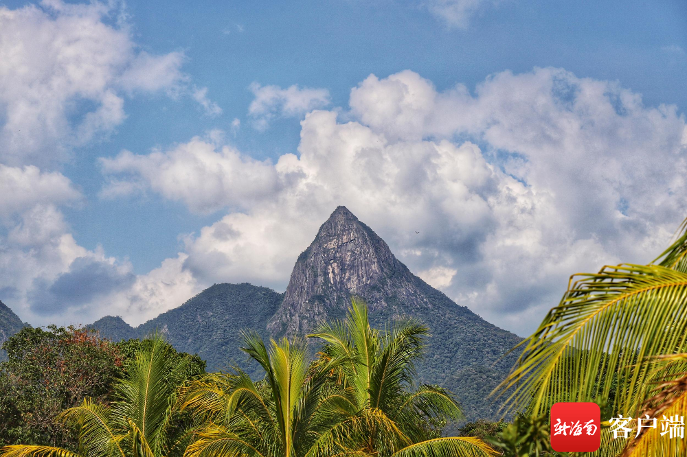 乐东尖峰岭.资料图