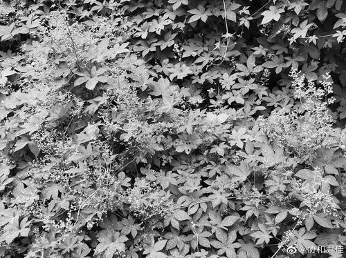 《大秦帝國OL》更多福利 新老攜手共戰(zhàn)亂世