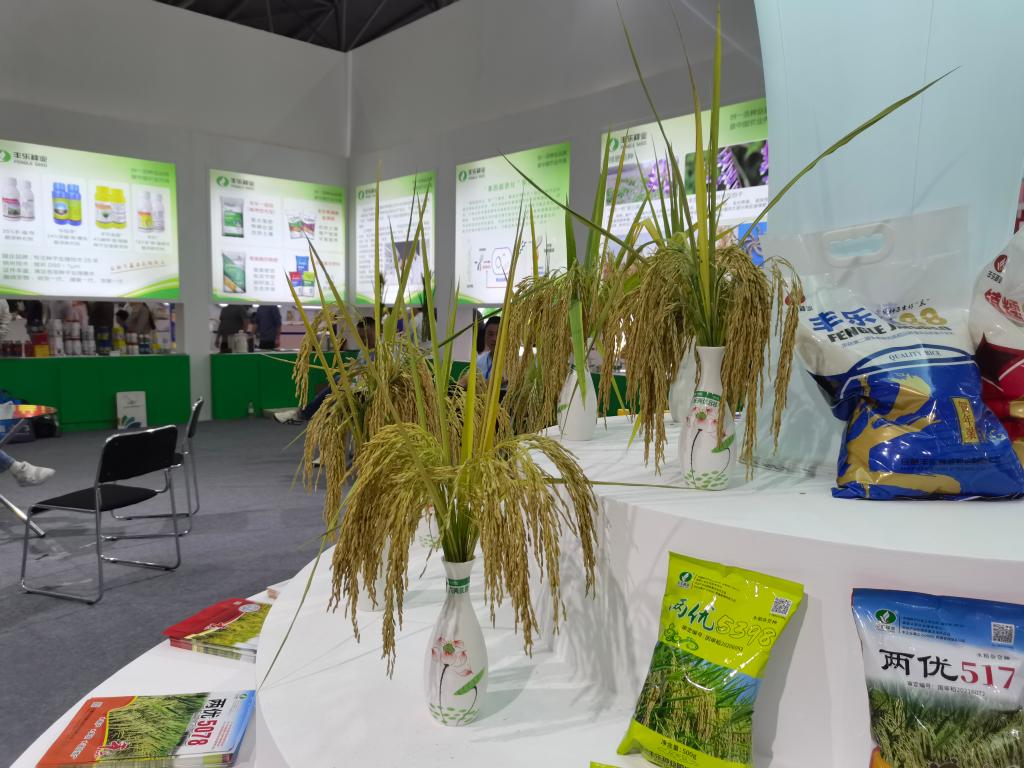 "全国种子双交会"现场,合肥丰乐种业股份有限公司展台上展示的水稻
