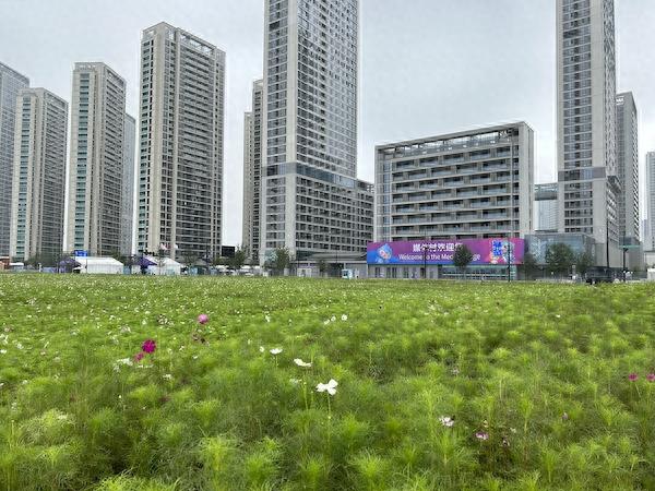 9月25日,杭州亚运村内媒体村前景色.(武慧敏/摄)