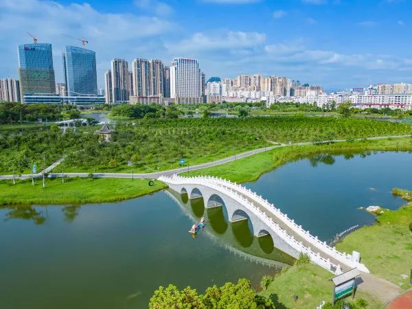 爱莲湖一隅.记者:黎豪图/摄