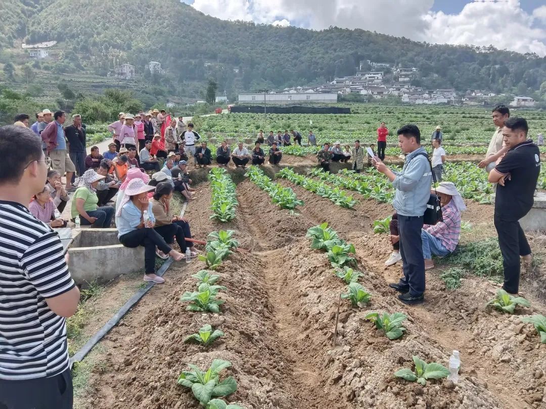 中国人寿农险工作人员到田间地头宣传农业保险