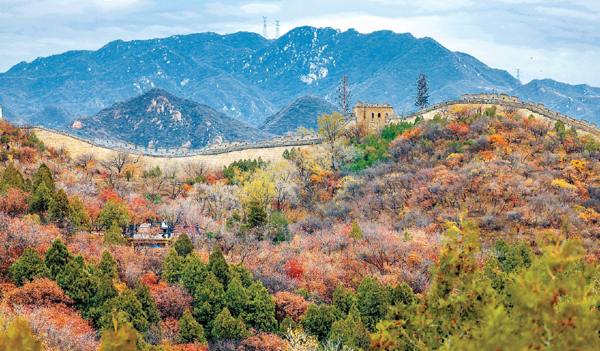 延庆山区彩叶斑斓,秋景怡人. 本报记者 潘之望摄