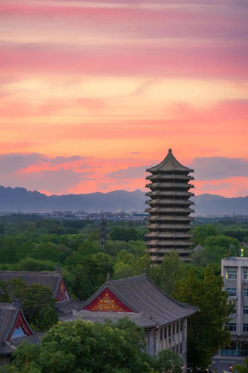 北京大学2024研究生招生简章发布|研究生_新浪财经_新浪网