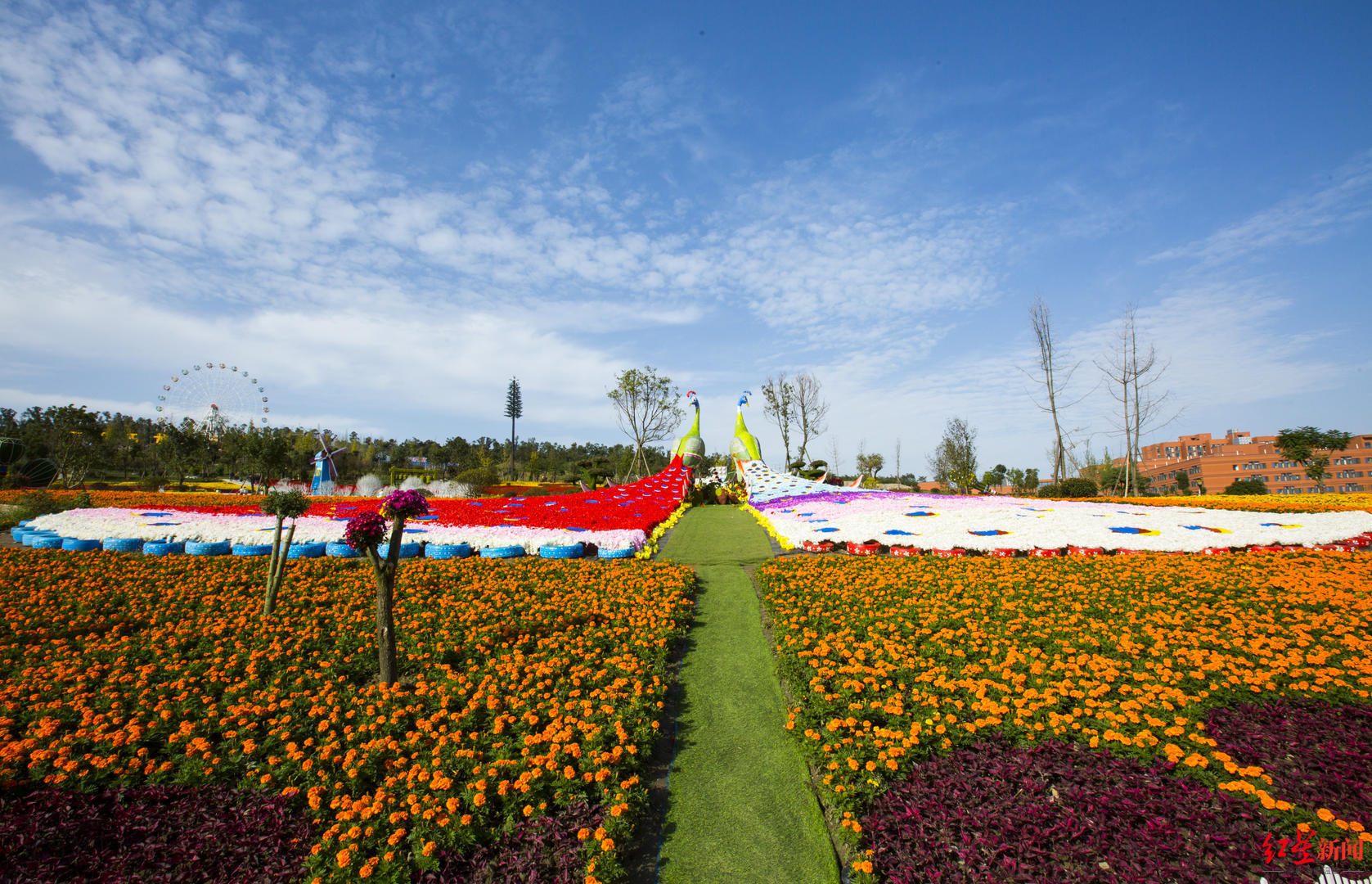 2023年9月29日-10月6日去新都音乐百花谷赏花小贴士:天府农博园位于