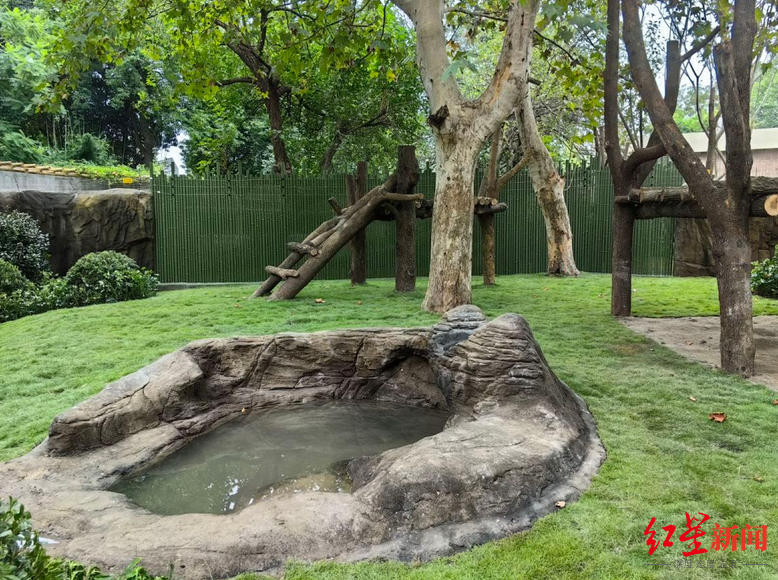 成都动物园改造后的熊猫馆舍