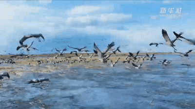 （来源：新华社）