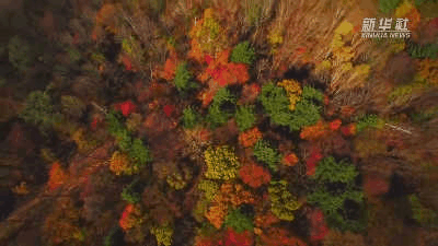 （来源：新华社）