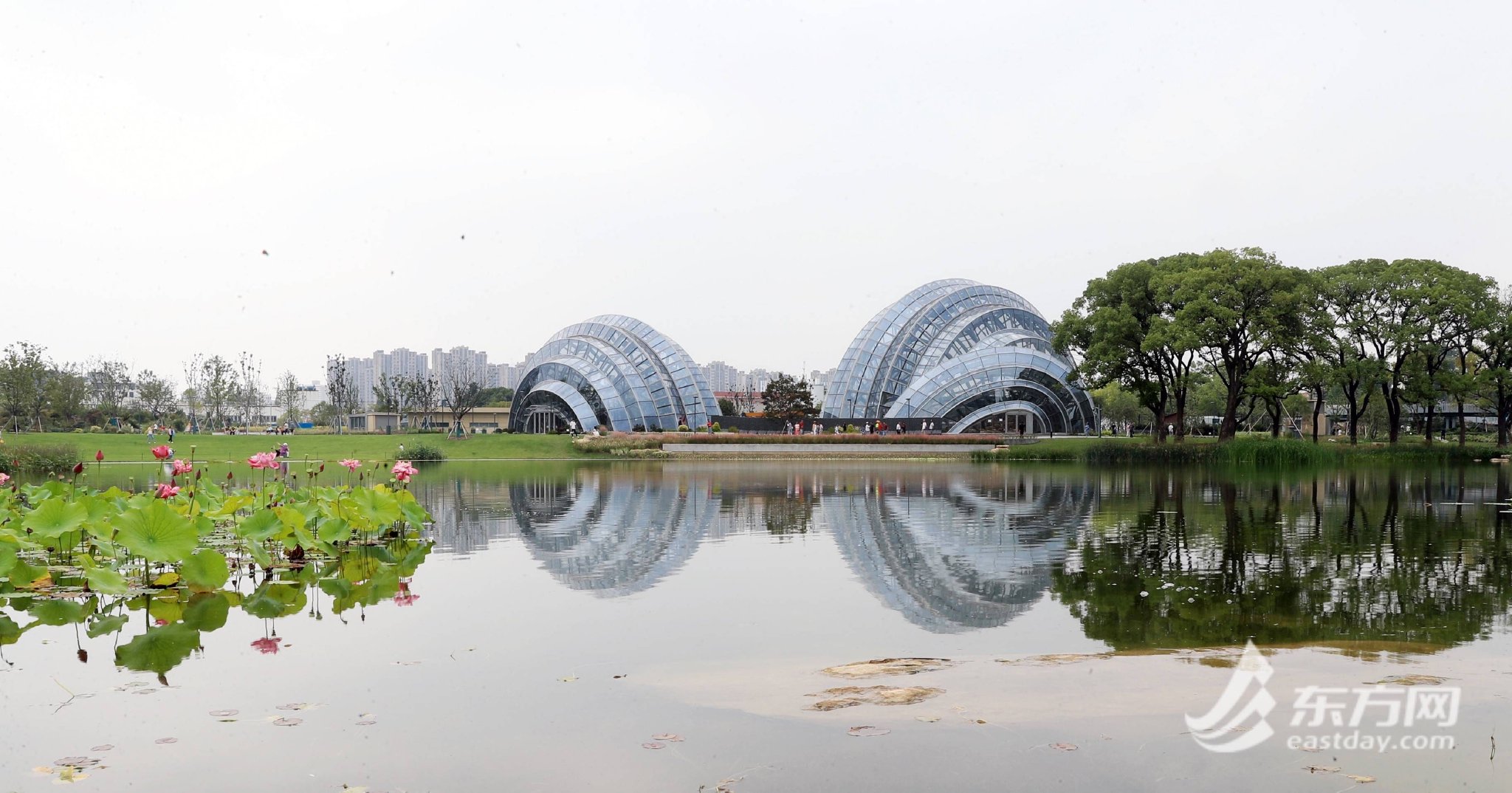 上海植物园北区试开放,小长假要门票吗?能露营吗?一文读懂!
