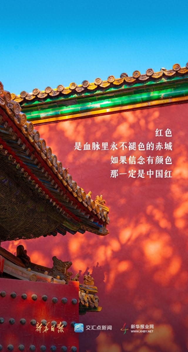 今天,我想对您说