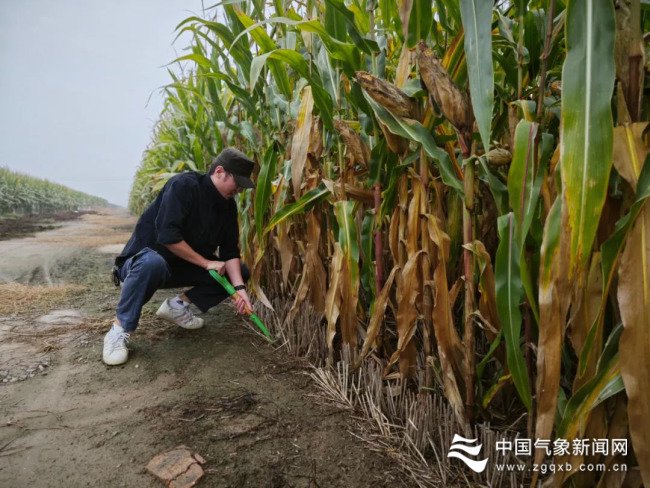 节日我在岗③丨应对天气挑战 服务国计民生|项城市_新浪财经_新浪网