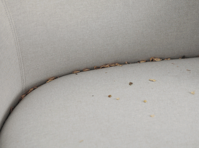 吸走落在沙发缝里的瓜子壳，小意思！