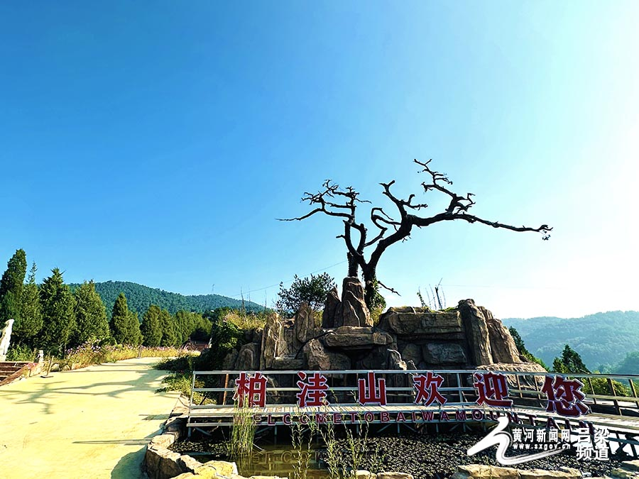 中阳县柏洼山 梁燕则摄