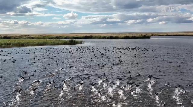 内蒙古辉河国家级自然保护区:层林尽染是金秋