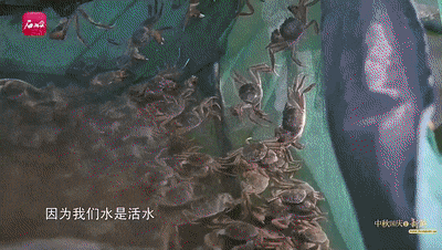 截自石榴云/新疆日报视频